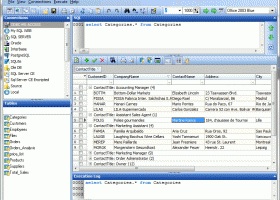 Database Browser Portable screenshot