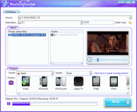 Ideal DVD Ripper screenshot
