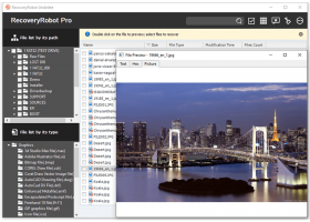 RecoveryRobot Undelete screenshot