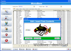 SSuite Office - MonoBase screenshot