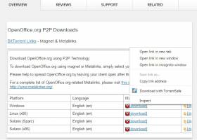TorrentSafe Chrome Extension screenshot