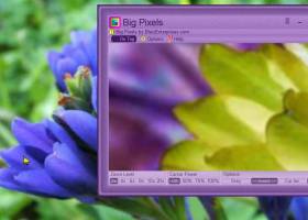 Big Pixels by BlaizEnterprises.com screenshot