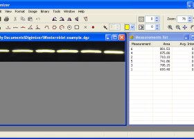 Digimizer screenshot
