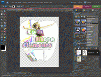 Elements+ for PSE 7 screenshot