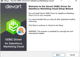 Salesforce MC ODBC Driver by Devart screenshot