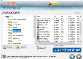 Pen Drive Data Repair screenshot