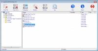 AppleXsoft File Eraser screenshot