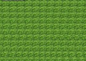 Stereogram Explorer screenshot