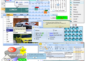 TMS Component Pack screenshot