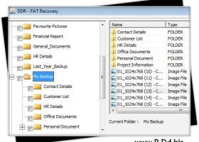 FAT Partition Files Salvage Software screenshot