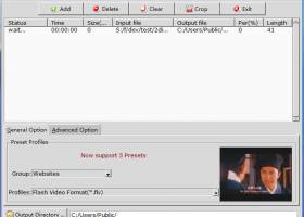 Convert AVI to FLV screenshot