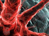 Microscopic World Animated Wallpaper screenshot