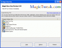 Magic Boss Key screenshot