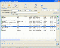 Direct Audio Converter and CD Ripper screenshot
