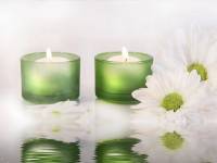 Green Relax Screensaver screenshot