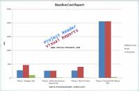 ProjectViewerReport Baseline Cost Report screenshot