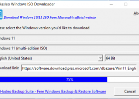 Hasleo Windows ISO Downloader screenshot