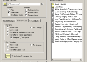 Flash Renamer screenshot