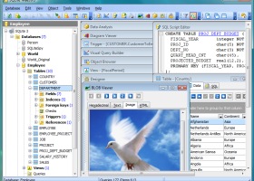 SQLite Maestro screenshot