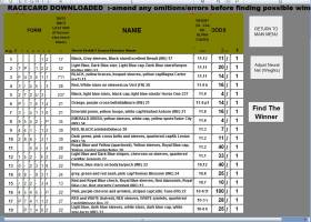 Excel7RacingPredicter screenshot