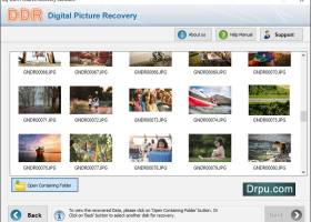 001Micron Digital Pictures Recovery screenshot