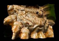 Helicon 3D Viewer screenshot