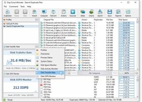 Dup Scout Server screenshot