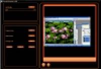 Viscom Store Screen Recorder to AVI screenshot