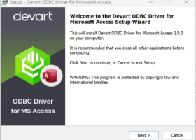 Microsoft Access ODBC Driver by Devart screenshot