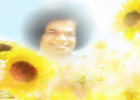 Sathya Sai Baba - Blooming Flower screenshot
