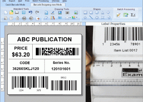 Excel Barcode Labeling for Publishers screenshot