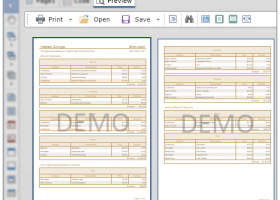 Stimulsoft Designer screenshot