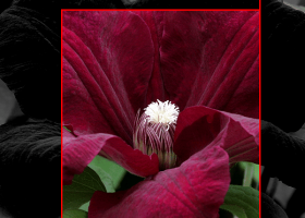 SPX Instant Screen Capture screenshot