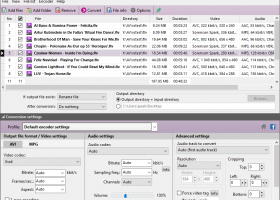 Pazera Free FLV to AVI Converter screenshot