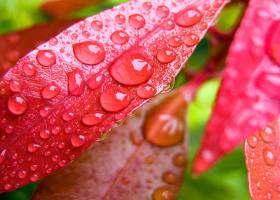 Water Drops HD Screensaver screenshot