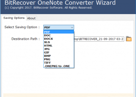 OneNote to DOCX Converter screenshot