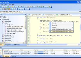 Spices.Net Decompiler screenshot
