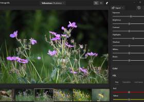 Fotografix screenshot