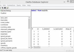 Oxetta Database Explorer screenshot