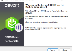 Marketo ODBC Driver by Devart screenshot