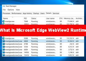 Microsoft Edge WebView2 Runtime screenshot