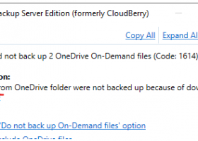 MSP360 Backup Server Edition screenshot