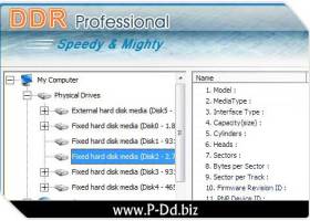 Data Files Recovery screenshot