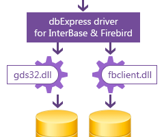 dbExpress Driver for InterBase/Firebird screenshot