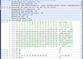 IO Ninja Programmable Terminal/Sniffer screenshot