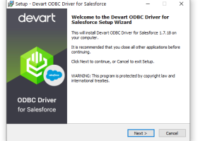 Devart ODBC Driver for Salesforce screenshot