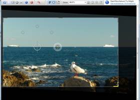 SCRAP Photo Editor screenshot