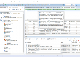 Rapid Database Extractor screenshot