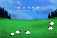 Feed My Sheep screenshot