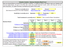 Business Valuation screenshot